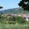 Pescia in…WikiVoyage! Enciclopedia turistica e libera on-line