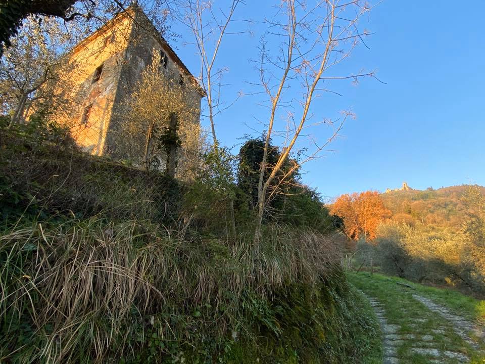 antico edificio scolastico scuola percorsi storici birindelli mulattiera Barignano Monte a Pescia