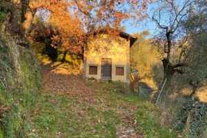 chiesetta loc. le Pancore percorsi storici birindelli mulattiera Barignano Monte a Pescia