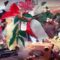 enoteca bellandi 1954 Enoteca, dolciumi, confetteria, bomboniere e articoli da regalo
