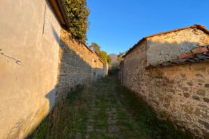 mulattiera cafaggio percorsi storici birindelli Barignano Monte a Pescia