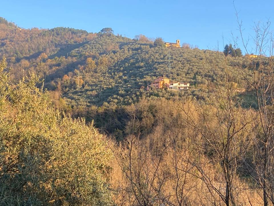 panorama santa margherita percorsi storici birindelli mulattiera Barignano Monte a Pescia