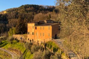 villa Cecchi Barignano esterna percorsi storici Birindelli mulattiera Barignano Monte a Pescia