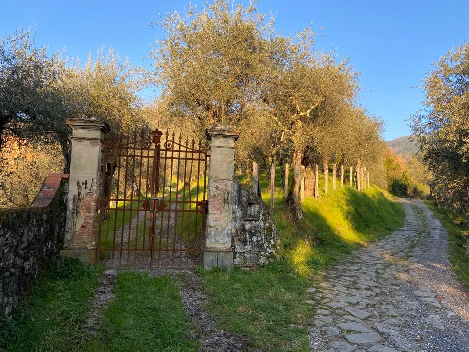 villa Cecchi Barignano percorsi storici Birindelli mulattiera Barignano Monte a Pescia