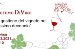 webinar seminario on-line evidenza profumo di vino degustazione agraria pescia