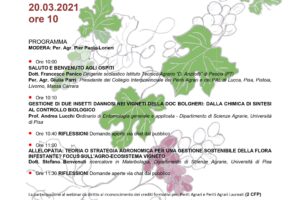 webinar seminario on-line profumo divino degustazione vino agraria istituto tecnico agrario anzilotti pescia