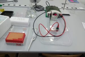 apparecchio analisi dna rna PCR istituto tecnico agrario agraria anzilotti pescia